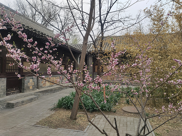 中式民居四合院
